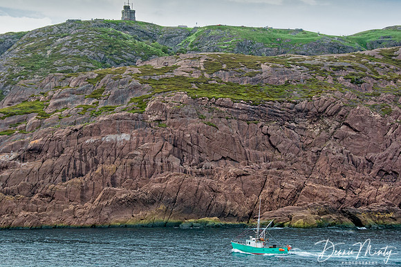 Cabot Tower and SIgnal Hill, St. John's