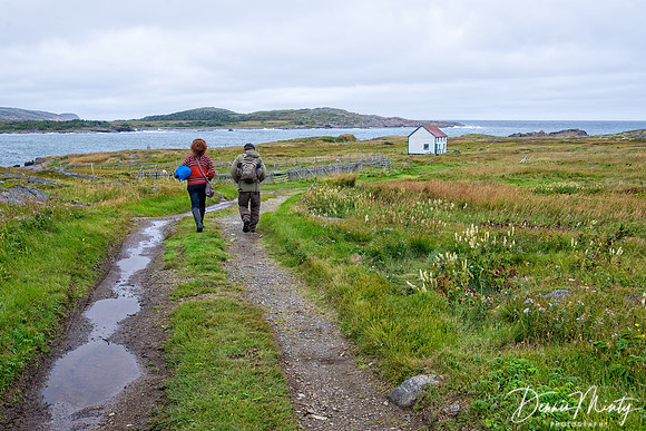 Fall Stroll, Tilting, Newfoundland