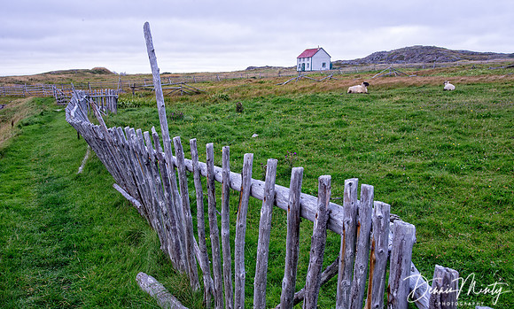Tilting, Newfoundland