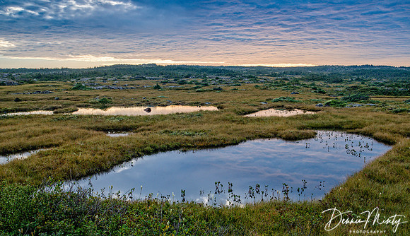 Fogo Island Sunrise, Newfoundland