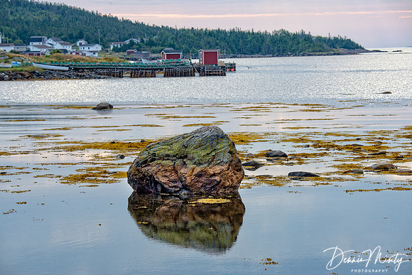 Stag Harbour, Fogo Island