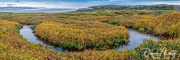 L'Anse aux Meadows