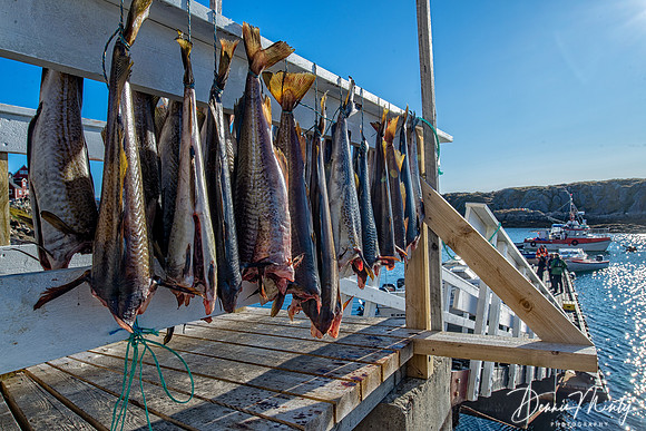 Kangamuit, Greenland