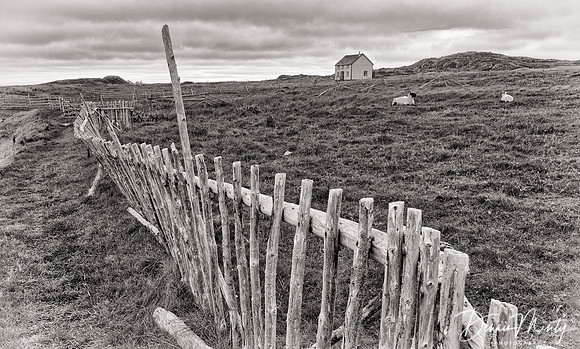 Not a Sound, Tilting, Newfoundland