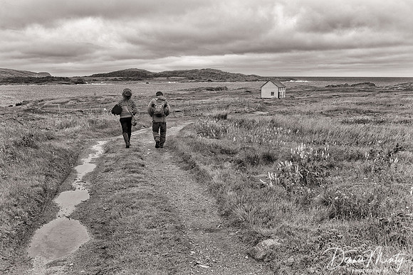 Fall Stroll, Tilting, Newfoundland