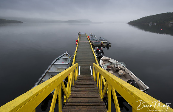 Quiet Morning in Garden Cove, Placentia Bay