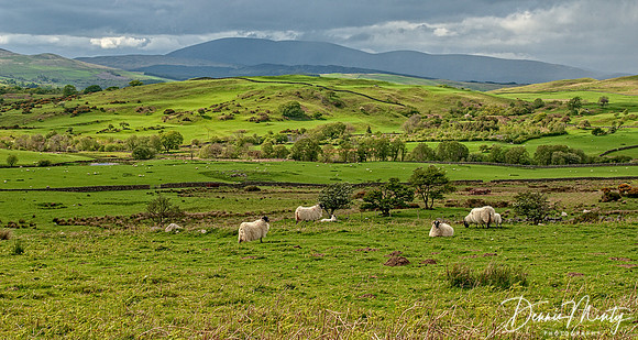 Galloway, Scotland