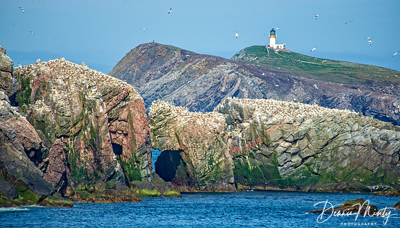 Flannan Isles, Western Isles, Scotland