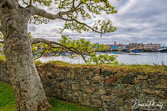 Kirkwall, Orkney, Scotland