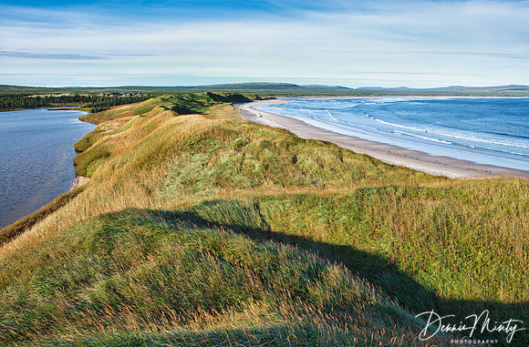 Byron Bay, Labrador