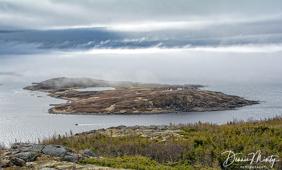 Saddle Island from Tracey's Hill, Red Bay