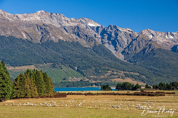 Glenorchy Area