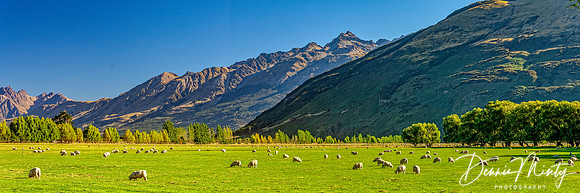 Glenorchy Area