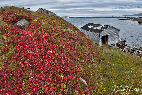 Henley Harbour, Labrador
