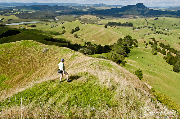 New Zealand