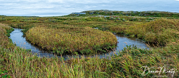 L'Anse aux Meadows