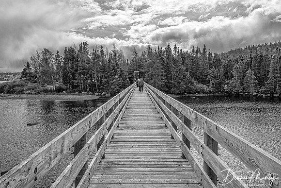 Terra Nova National Park