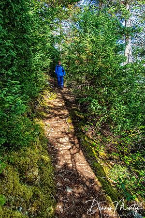 Terra Nova National Park