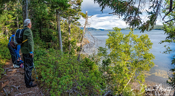 Terra Nova National Park