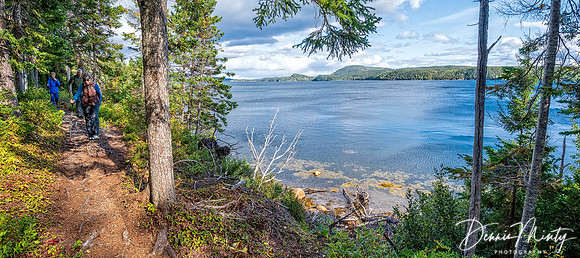Terra Nova National Park