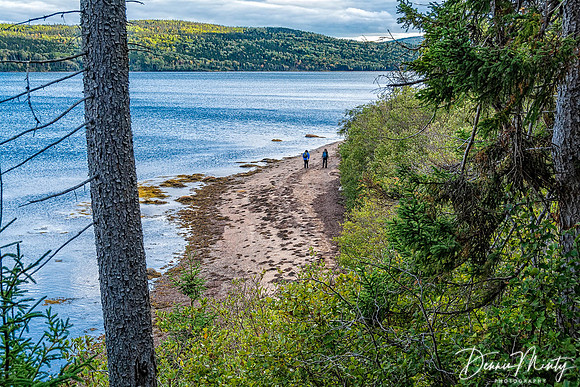 Terra Nova National Park