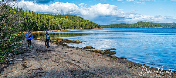 Terra Nova National Park