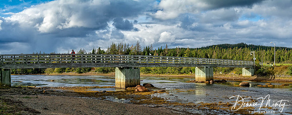 Terra Nova National Park