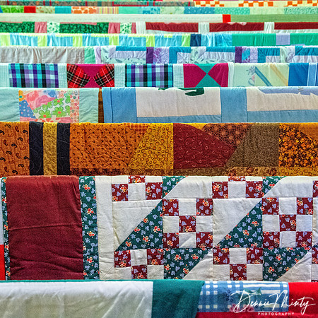 The Joy of Quilts, Conche