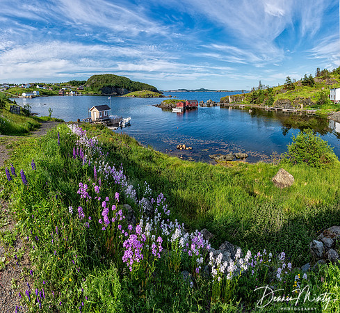 Morton's Harbour