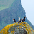 Fair Isle