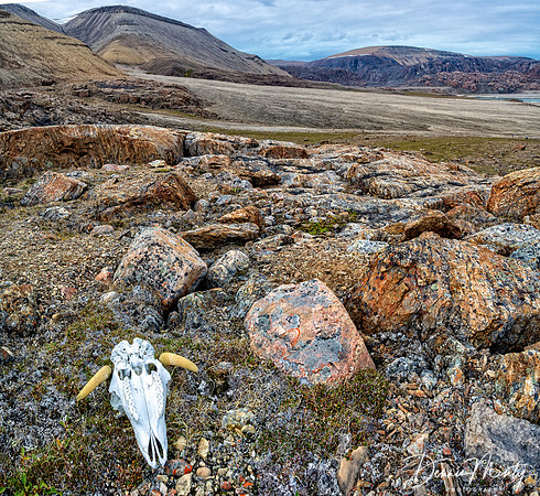 Powell Inlet, Devon Island