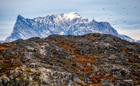 Arctic