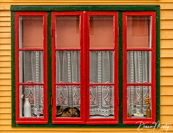 Cat in the Window, St. Pierre, France