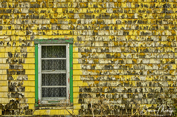 Wanted: House Painter, St. Pierre, France