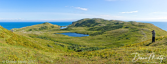 Miquelon