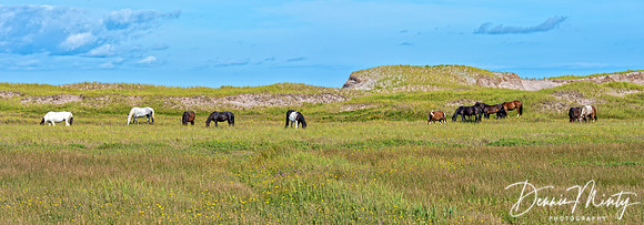 Miquelon