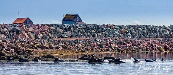 St. Pierre