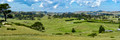 Dargaville area, New Zealand
