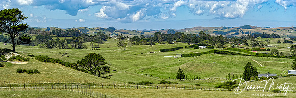 Dargaville area, New Zealand
