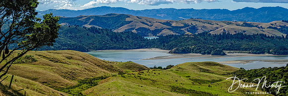Coromandel Peninsula