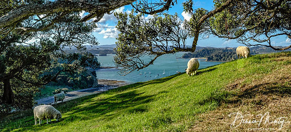 New Zealand