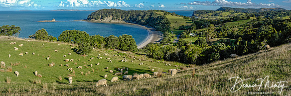 New Zealand