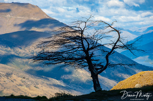 Cardrona Road, New Zealand