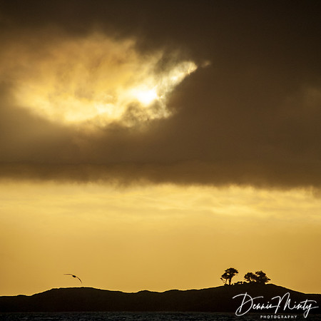 Stewart Island