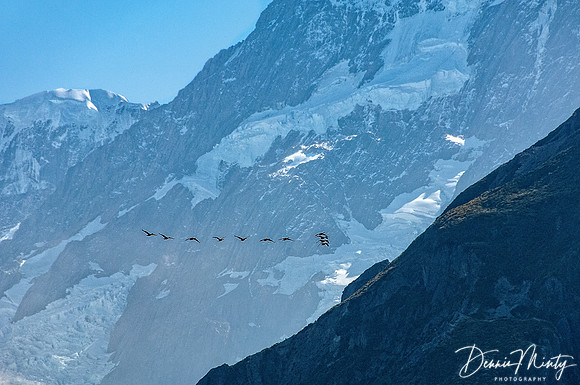 Mt. Cook