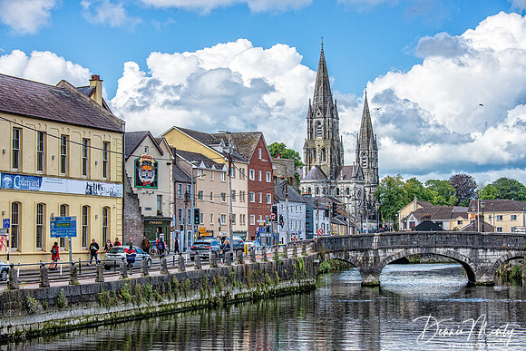 Saint Fin Barre's Cathedral, Cork
