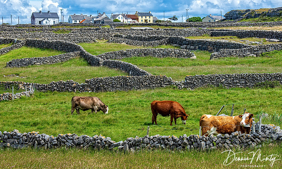 Inishmore, Aran Islands