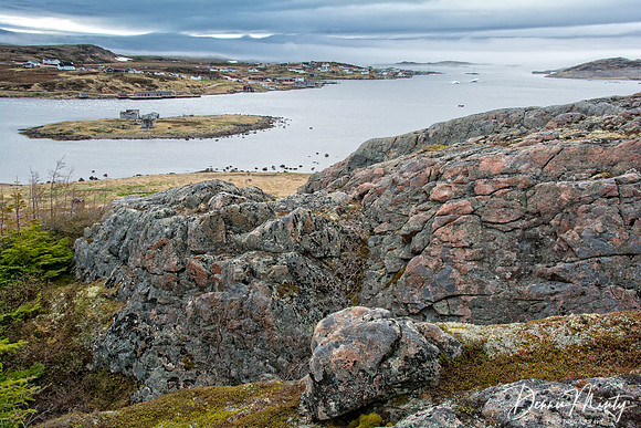 Tracey's Hill Hike, Red Bay