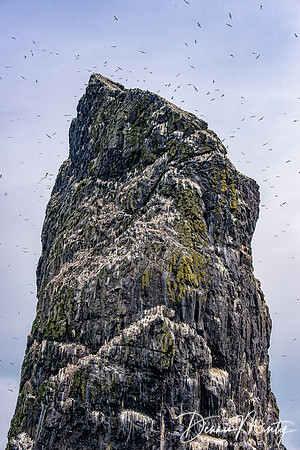 Stac Lee, St. Kilda