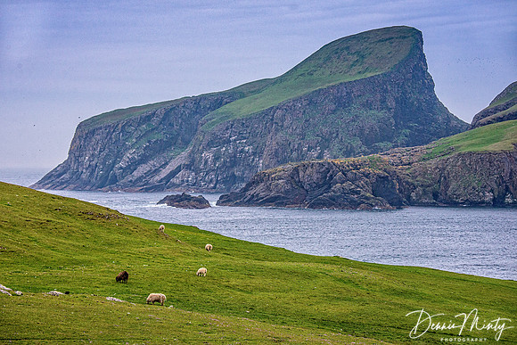Fair Isle